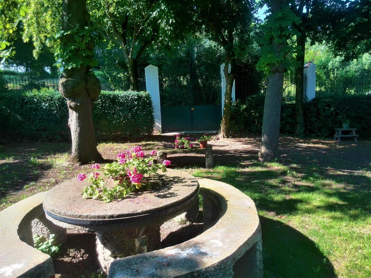 Villa TORRE de CODINAC San Pedro de Torelló Exterior foto